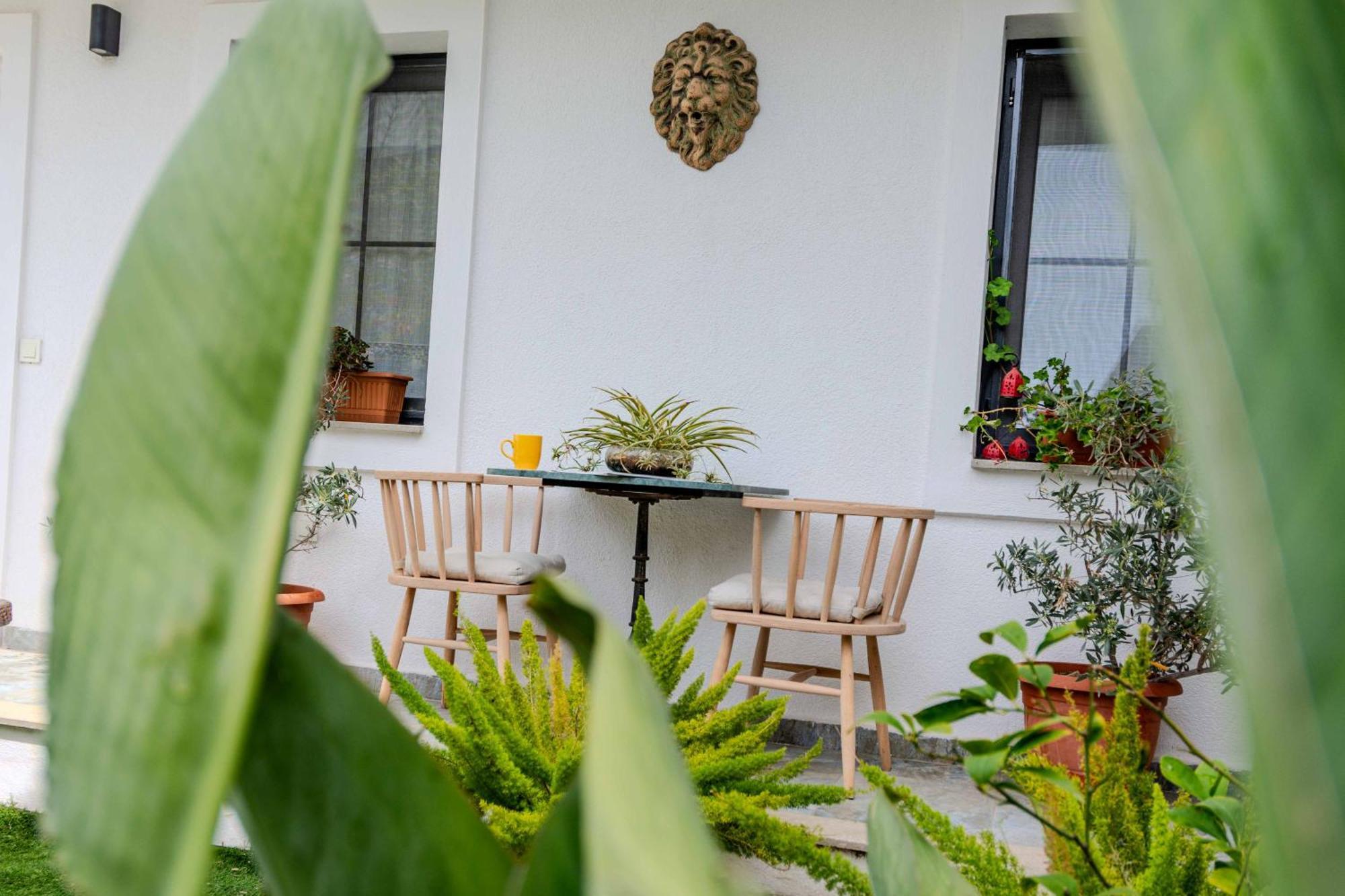 Bodrum Arden'S House B&B 외부 사진